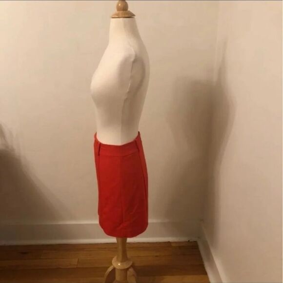 Express Mini Skirt - Picture 3 of 3